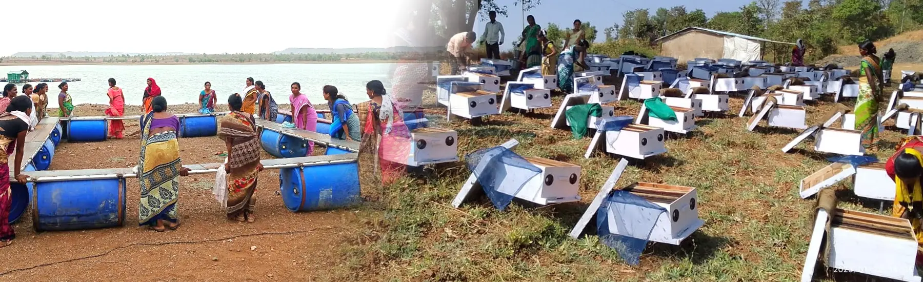 शबरी महामंडळ छायाचित्र